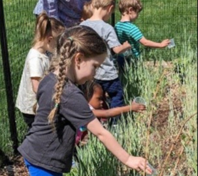 Tending the Gwynedd Meetinghouse Garden