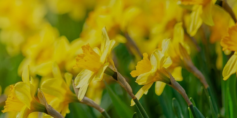 Retreat Registration