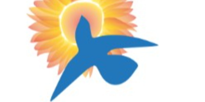 Peace Camp for Little Ones