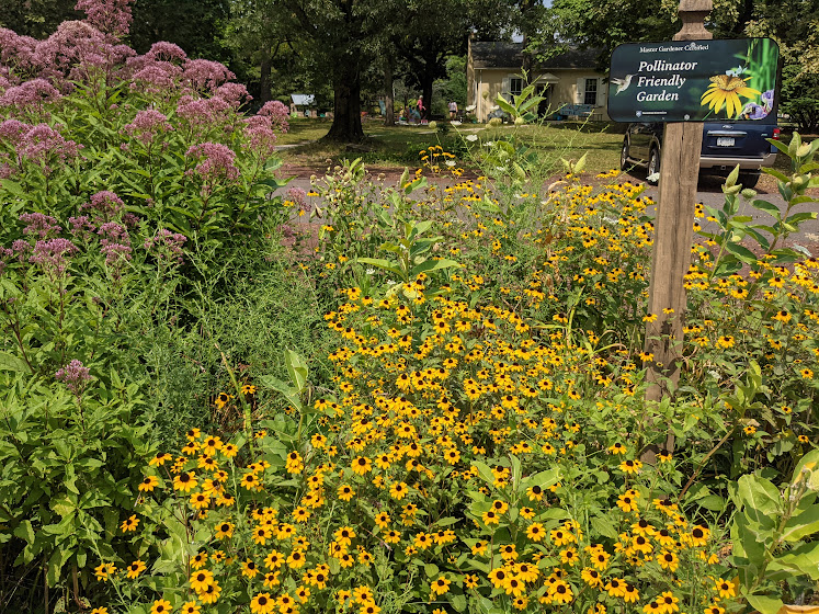 Pollinator